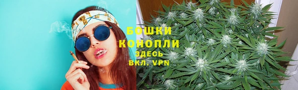 ГАЛЛЮЦИНОГЕННЫЕ ГРИБЫ Алзамай