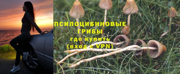 ГАЛЛЮЦИНОГЕННЫЕ ГРИБЫ Алзамай