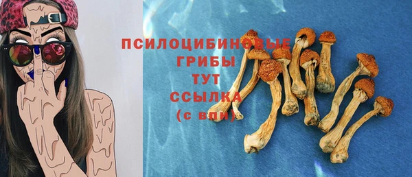 ГАЛЛЮЦИНОГЕННЫЕ ГРИБЫ Алзамай