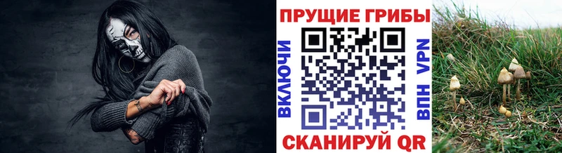 гидра онион  Болхов  Псилоцибиновые грибы GOLDEN TEACHER  наркота 