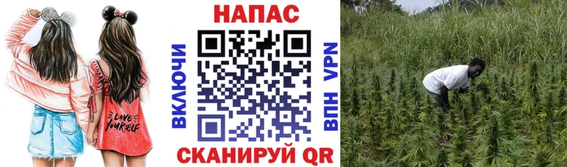 Бошки Шишки план  omg зеркало  Болхов  магазин продажи наркотиков 